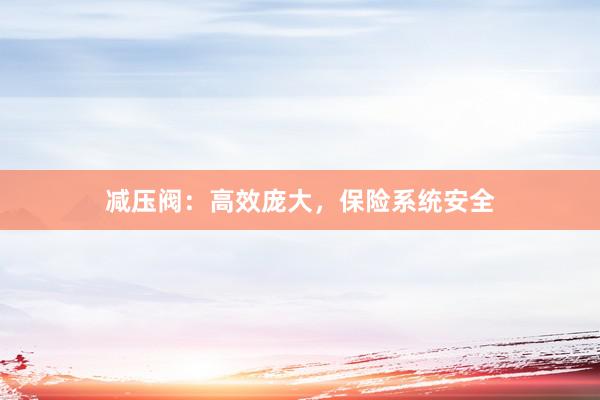 减压阀：高效庞大，保险系统安全