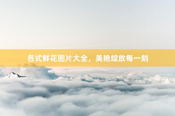 各式鲜花图片大全，美艳绽放每一刻