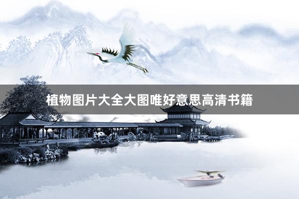 植物图片大全大图唯好意思高清书籍