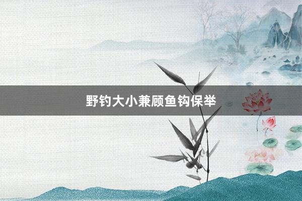 野钓大小兼顾鱼钩保举
